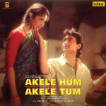 Akele Hum Akele Tum;vinyl_record gramophone house