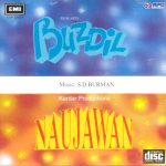 Buzdil / Naujawan;vinyl_record gramophone house