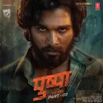 Pushpa;vinyl_record gramophone house