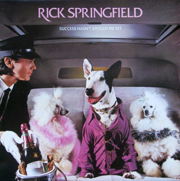 Rick Springfield;vinyl_record gramophone house