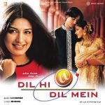 Dil Hi Dil Mein;vinyl_record gramophone house