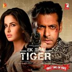Ek Tha Tiger;vinyl_record gramophone house