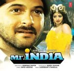 Mr.India;vinyl_record gramophone house