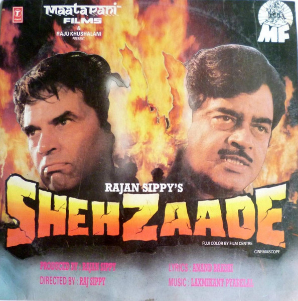 Shehzaade;vinyl_record gramophone house