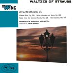 Johann Strauss, Jr;vinyl_record gramophone house