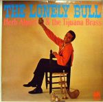 The Lonely Bull;vinyl_record gramophone house