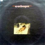 Erotheque;vinyl_record gramophone house