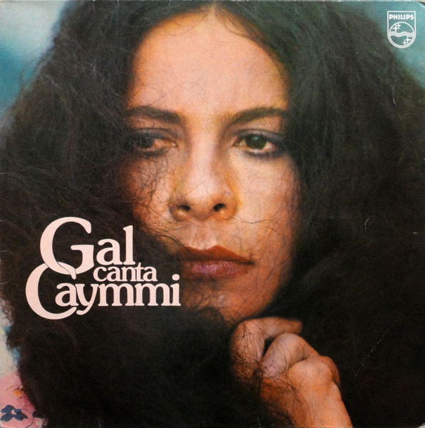 Gal Costa;vinyl_record gramophone house