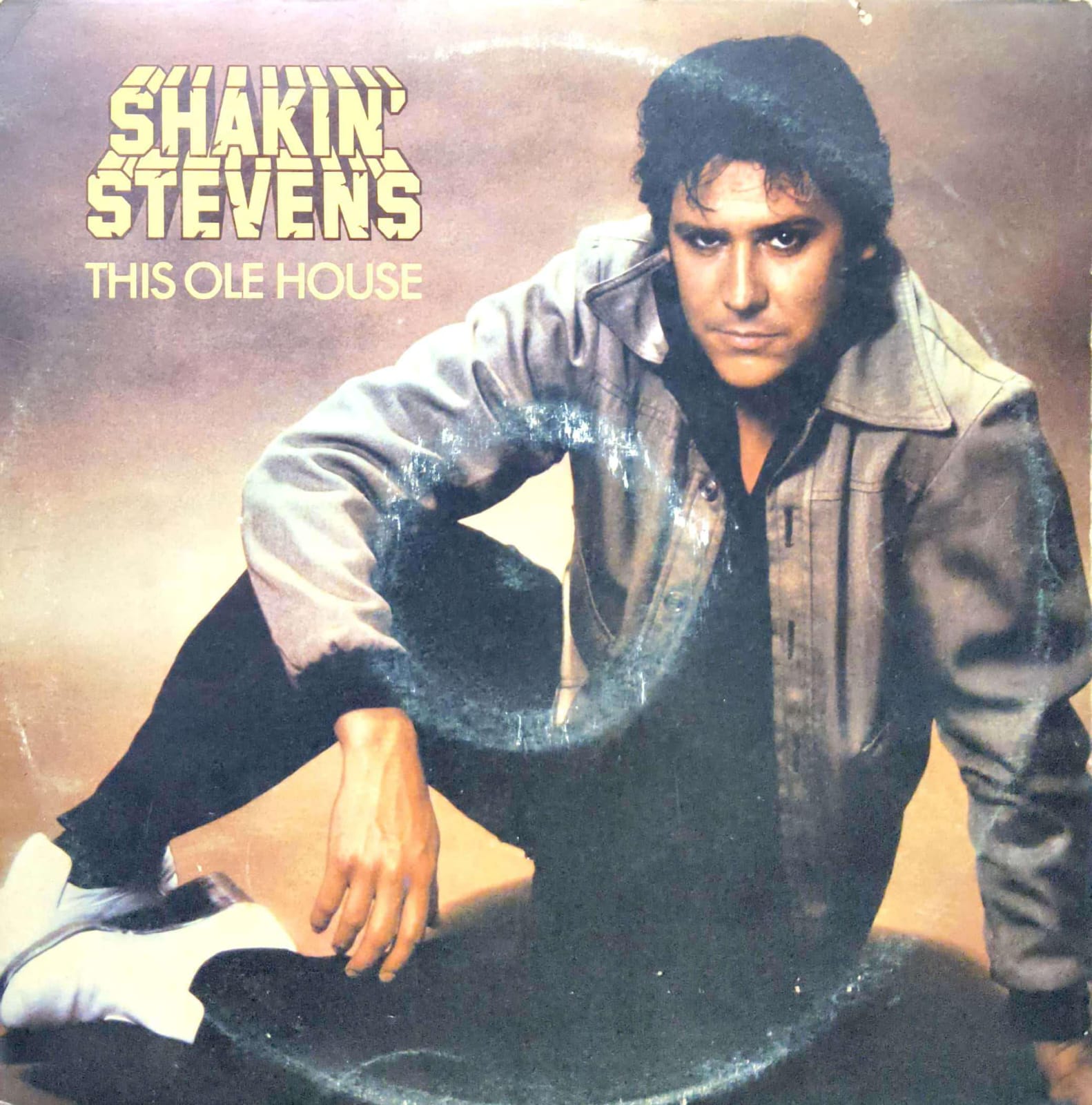 R-20260207-09 Shakin' Stevens;vinyl_record gramophone house