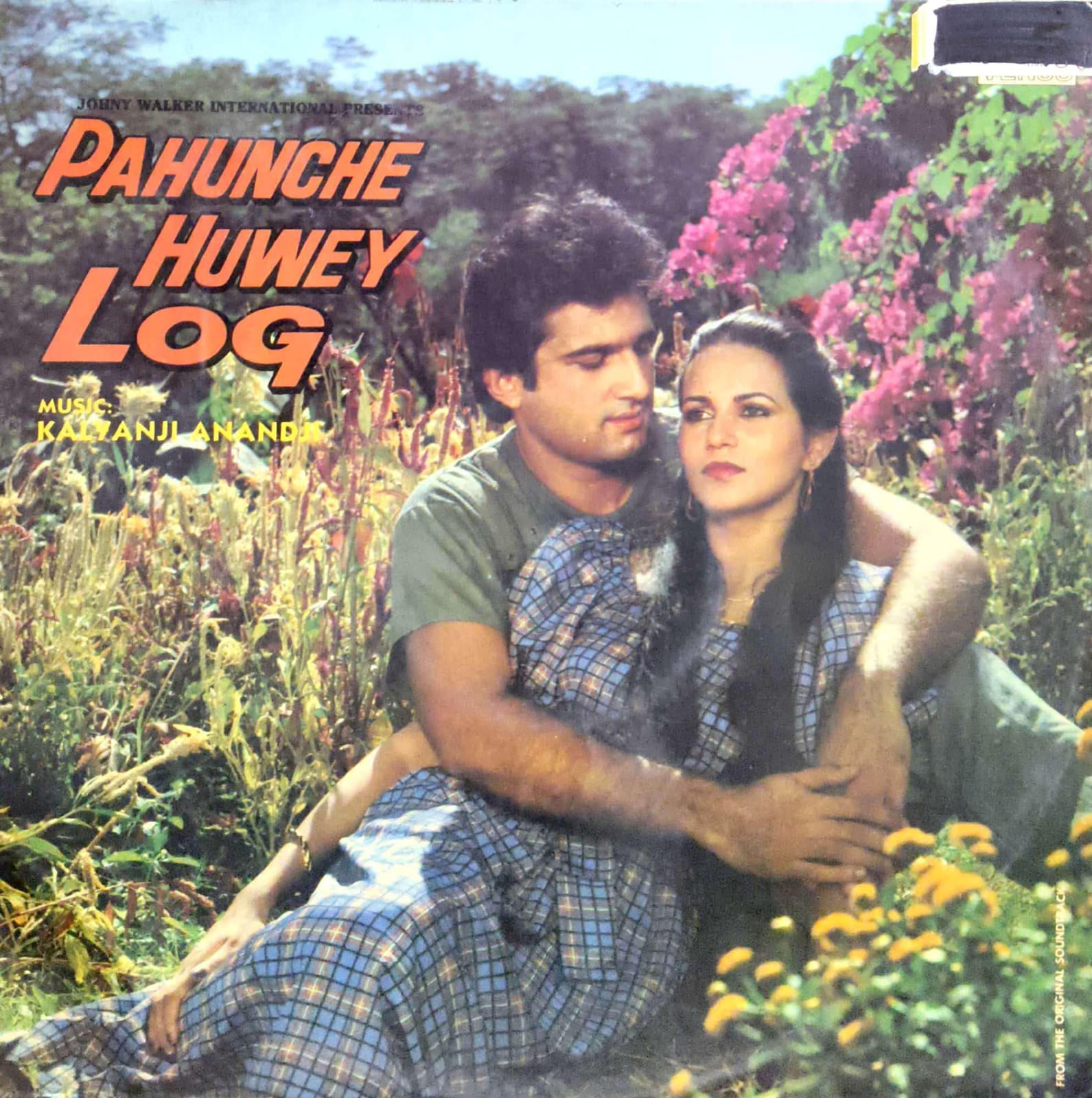 R-2026022807 Pahunche Huwey Log;vinyl_record gramophone house