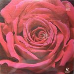 Ghulam Ali;vinyl_record gramophone house