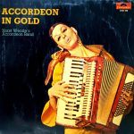 Accordeon In Gold;vinyl_record gramophone house