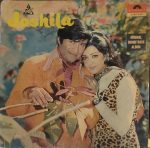 Joshila;vinyl_record gramophone house