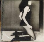 Carly Simon;vinyl_record gramophone house