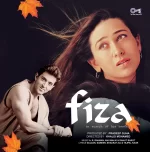 Fiza; vinyl_record gramophone house