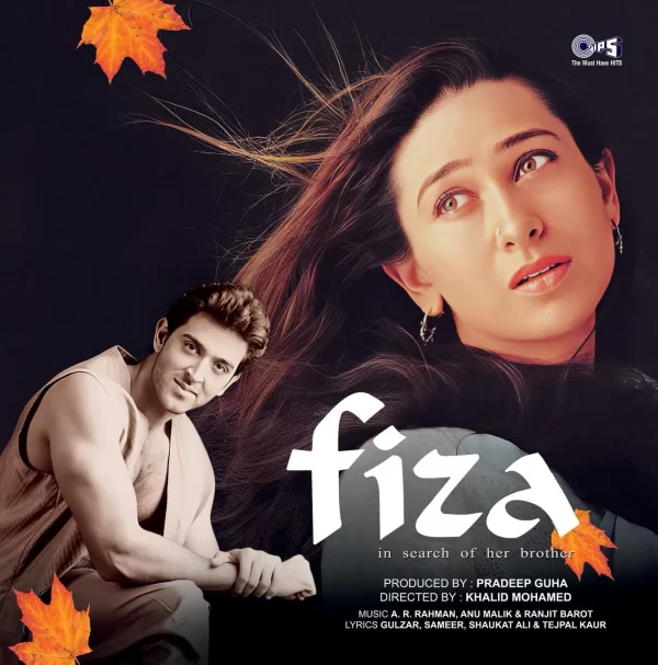 Fiza; vinyl_record gramophone house