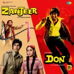 Zanjeer;vinyl_record gramophone house