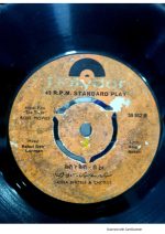 The Train;vinyl_record gramophone house